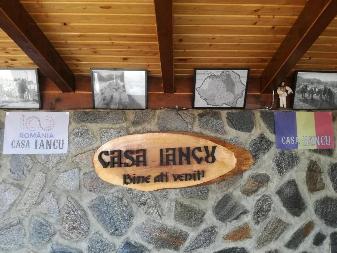 Гостевой дом Casa Iancu Jina-17