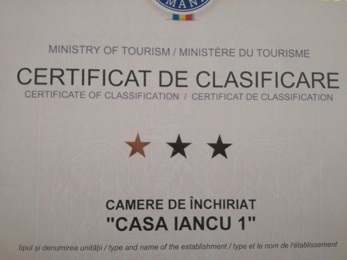 Гостевой дом Casa Iancu Jina-19
