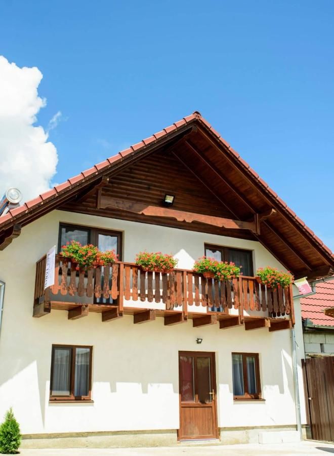 Гостевой дом Casa Iancu Jina-5