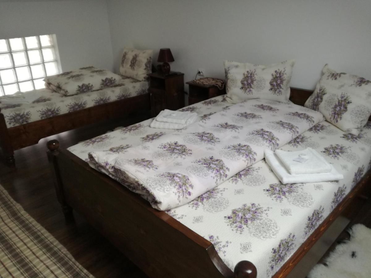 Гостевой дом Casa Iancu Jina-25