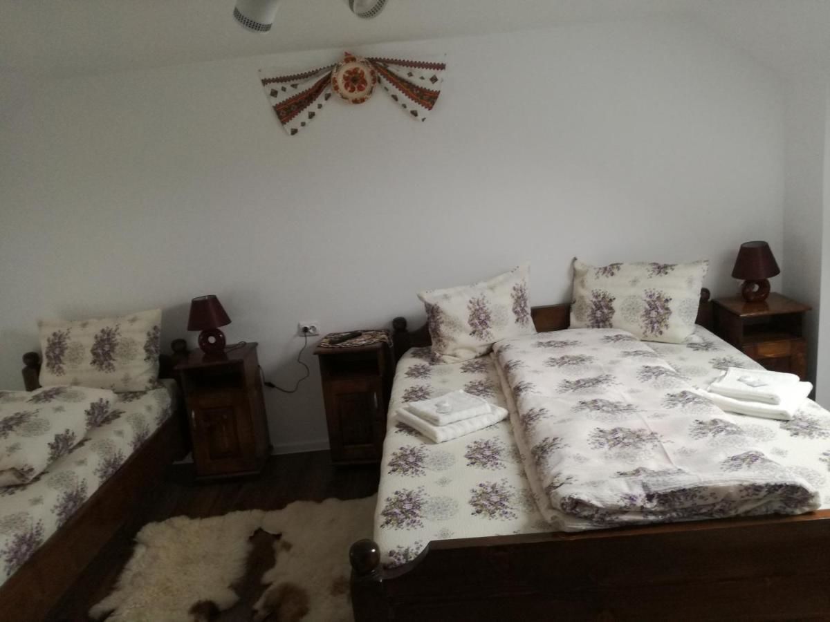 Гостевой дом Casa Iancu Jina-27