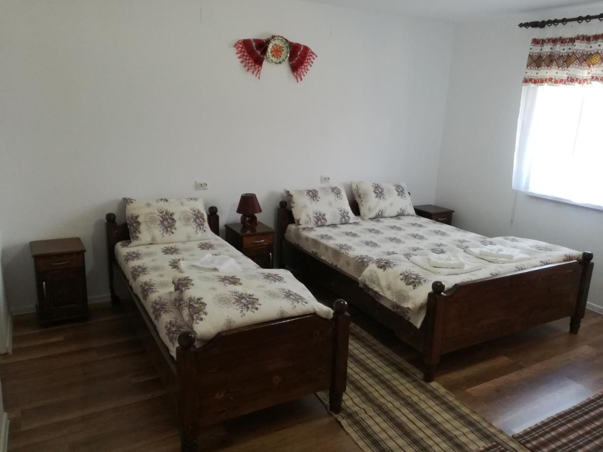Гостевой дом Casa Iancu Jina-29