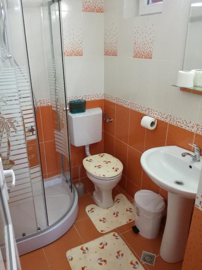 Гостевой дом Casa Iancu Jina-30