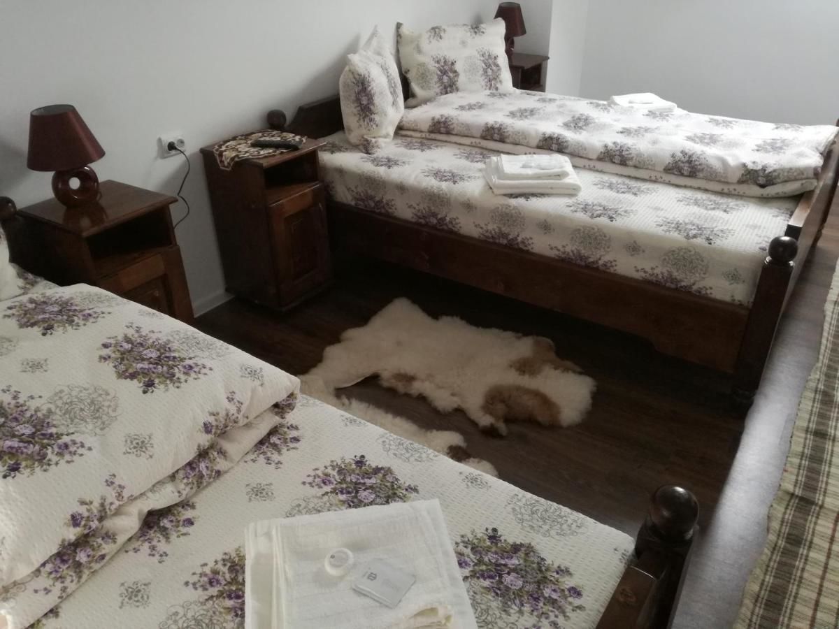 Гостевой дом Casa Iancu Jina-31