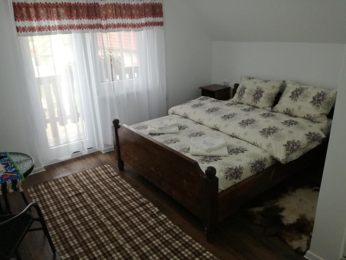 Гостевой дом Casa Iancu Jina