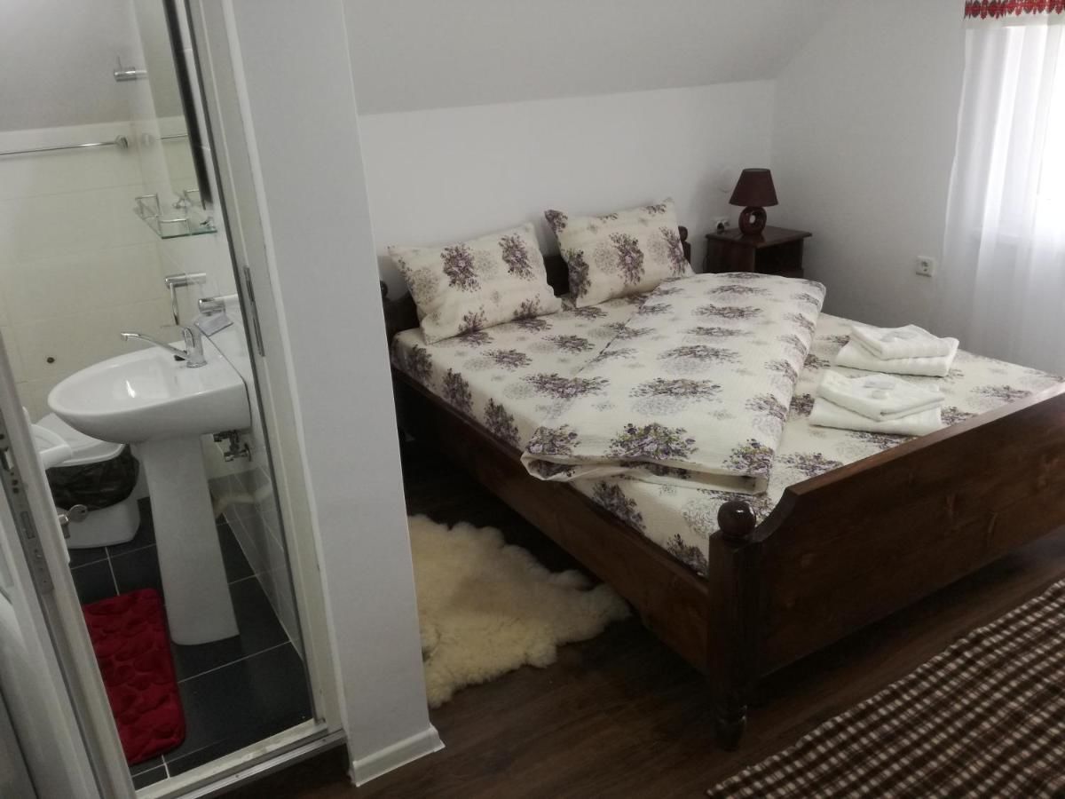 Гостевой дом Casa Iancu Jina