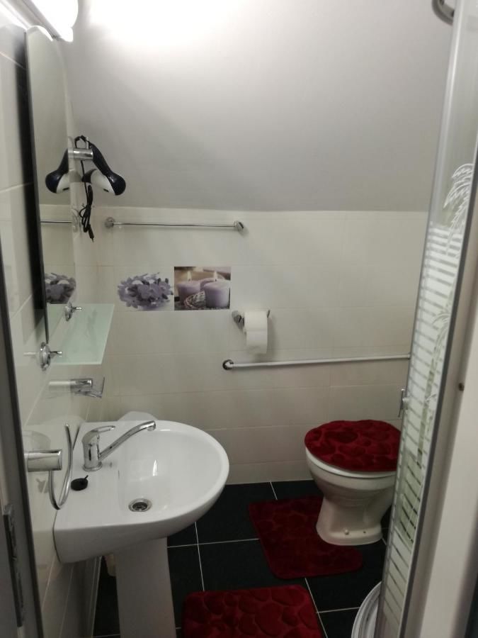 Гостевой дом Casa Iancu Jina