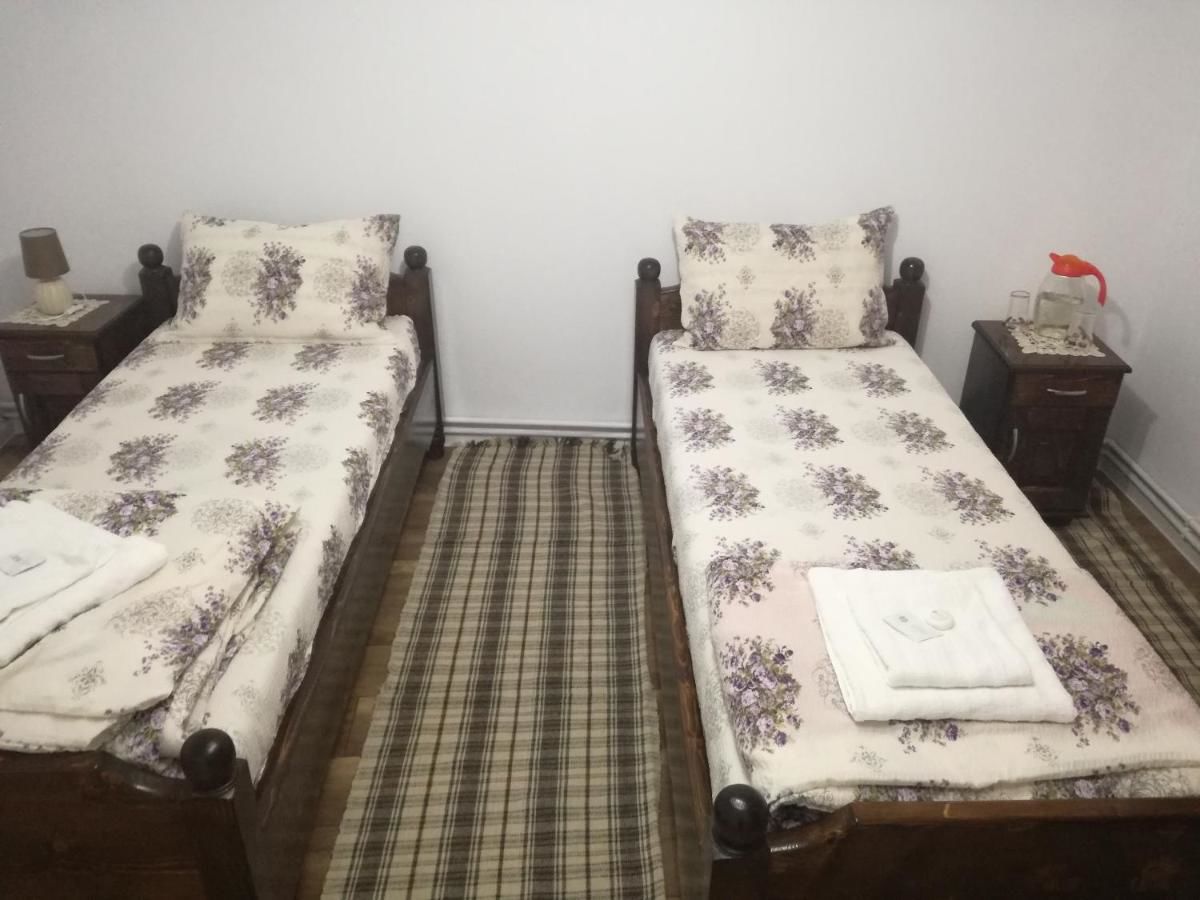 Гостевой дом Casa Iancu Jina-36