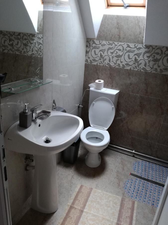 Гостевой дом Casa Iancu Jina