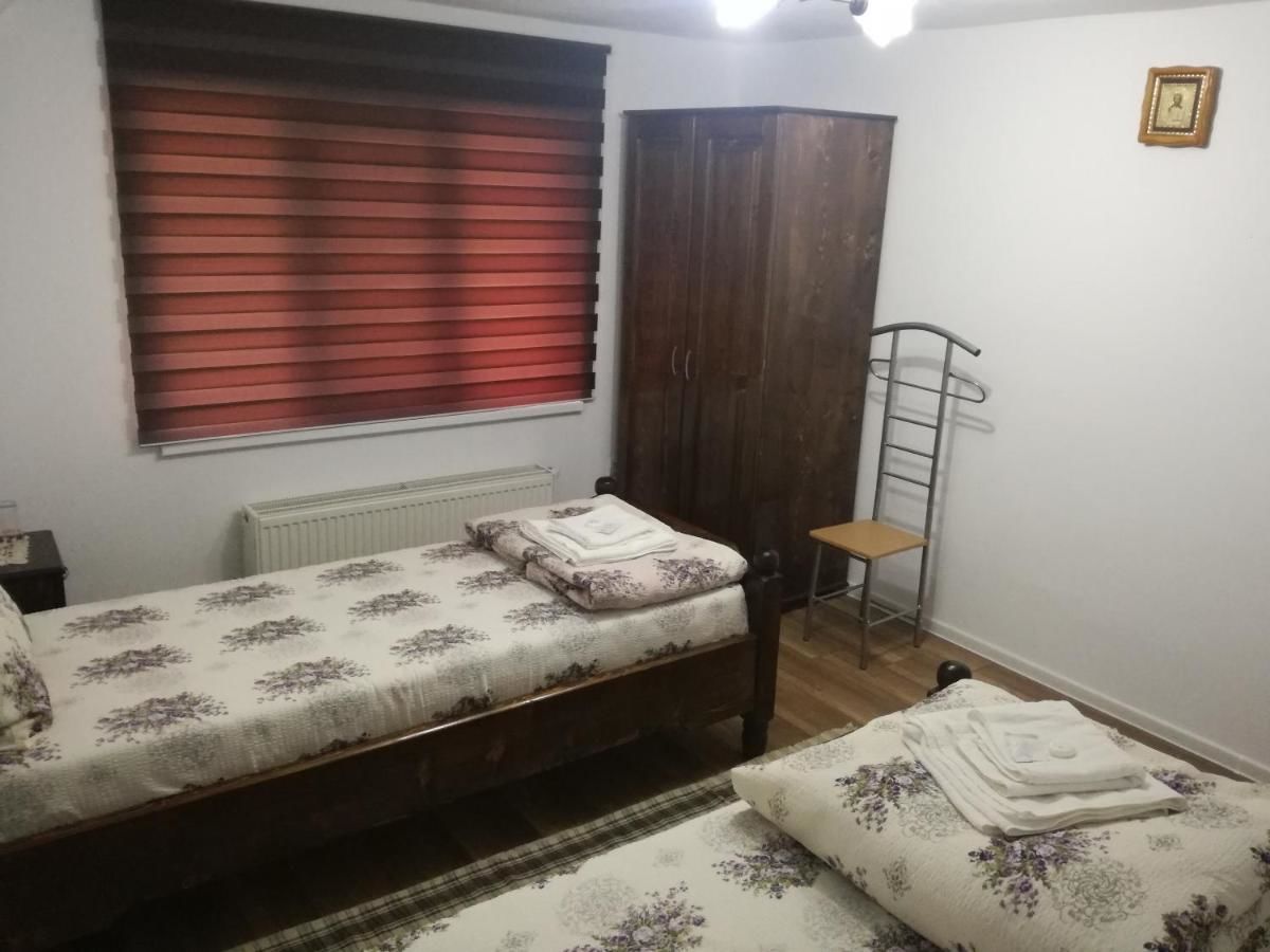 Гостевой дом Casa Iancu Jina-38