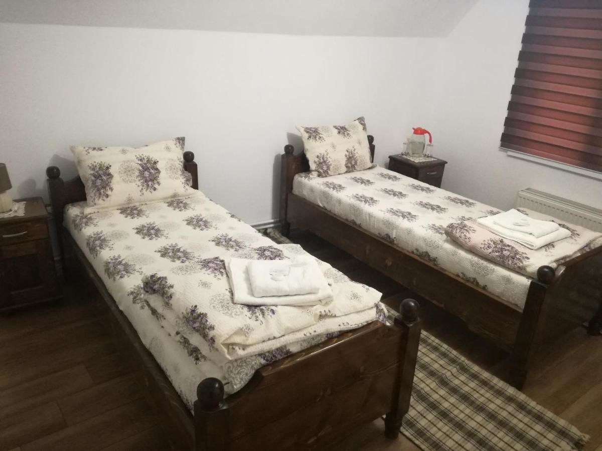 Гостевой дом Casa Iancu Jina-39