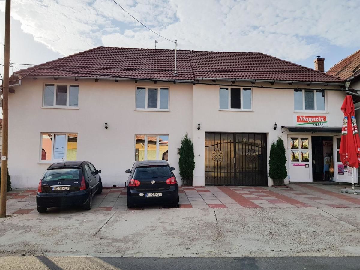 Гостевой дом Casa Iancu Jina-40
