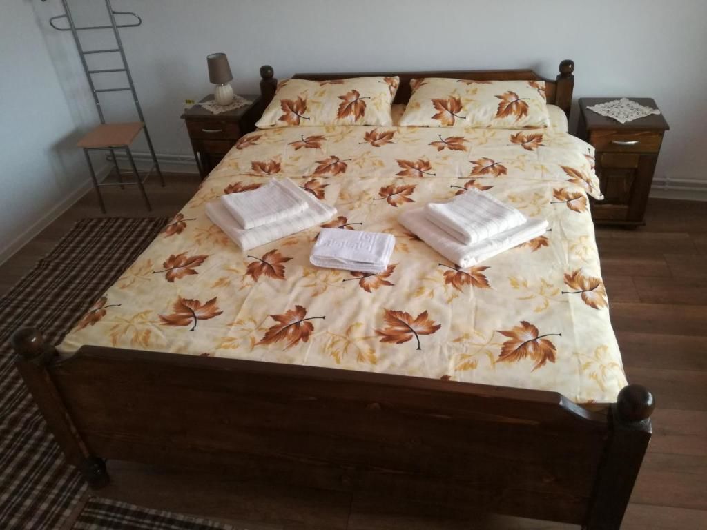Гостевой дом Casa Iancu Jina