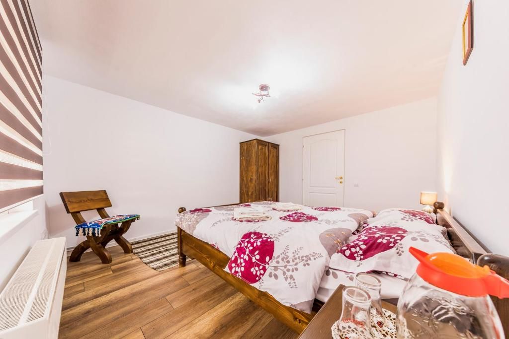 Гостевой дом Casa Iancu Jina