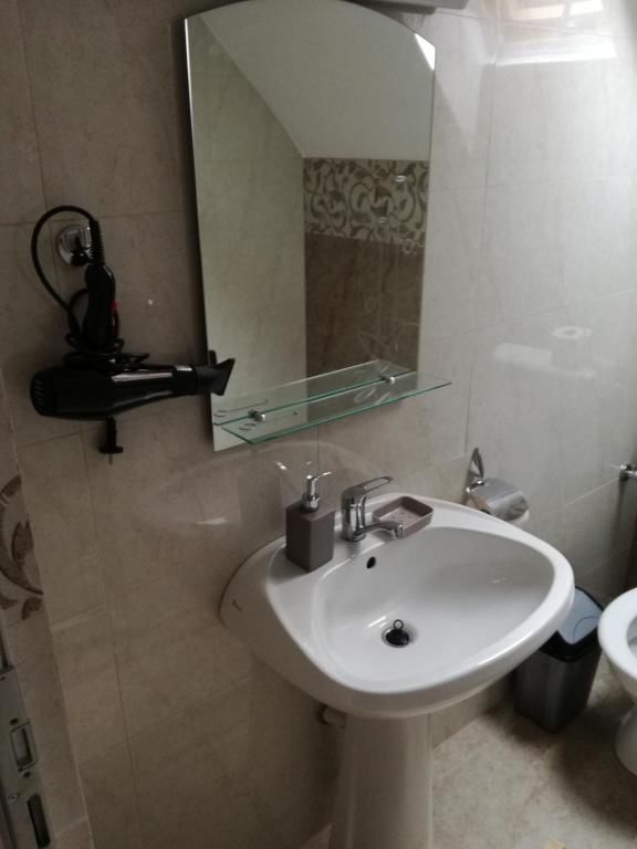 Гостевой дом Casa Iancu Jina