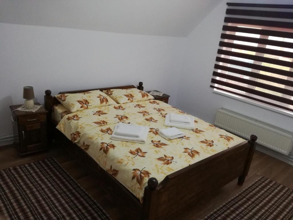 Гостевой дом Casa Iancu Jina