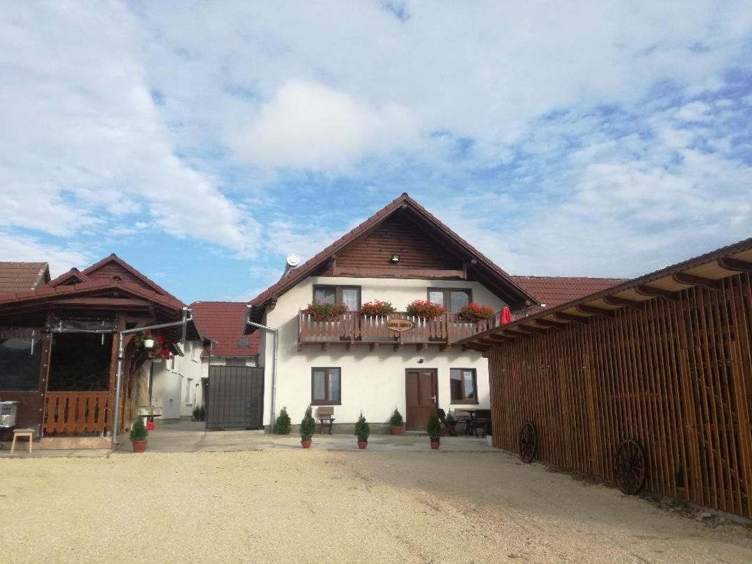 Гостевой дом Casa Iancu Jina-11